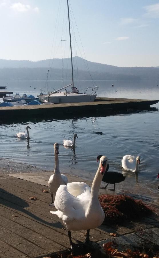 Appartamento Doppi Bagni Sei Posti Letto Viverone Bagian luar foto