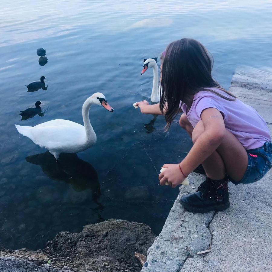 Appartamento Doppi Bagni Sei Posti Letto Viverone Bagian luar foto