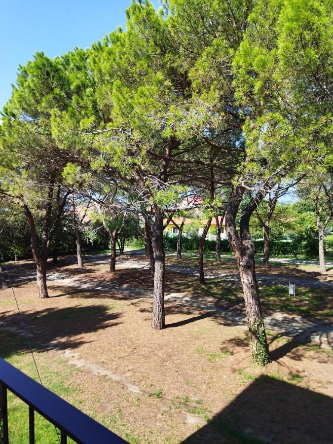 Appartamento Doppi Bagni Sei Posti Letto Viverone Bagian luar foto