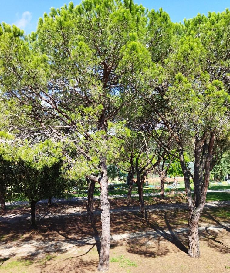 Appartamento Doppi Bagni Sei Posti Letto Viverone Bagian luar foto